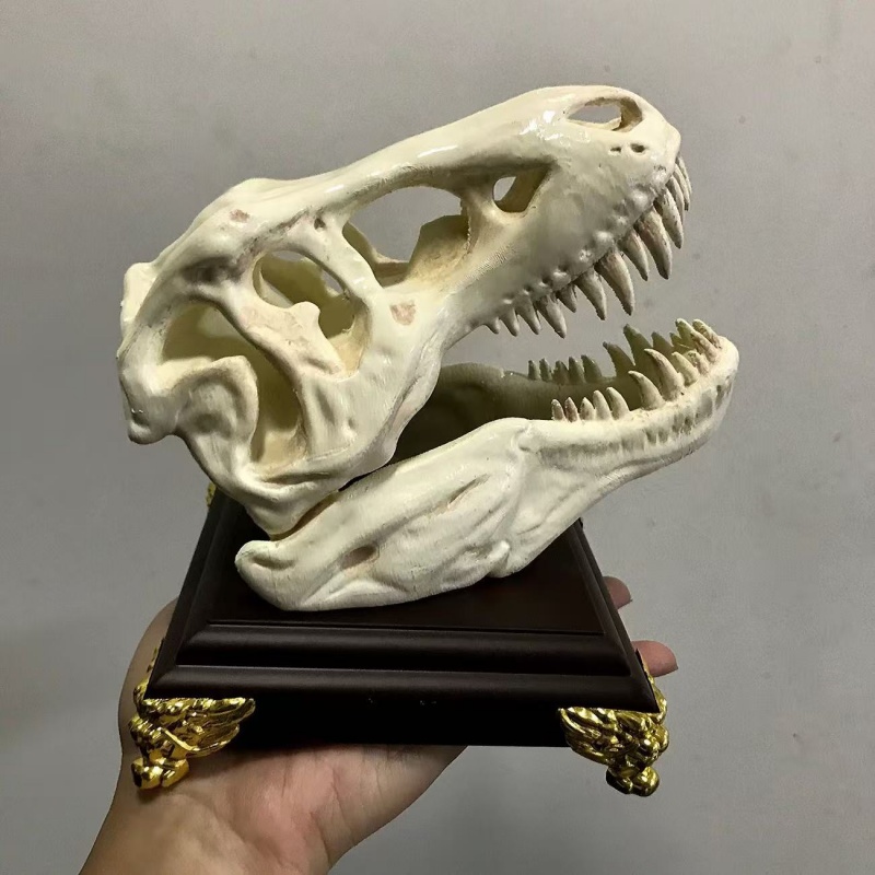 3D Printing Enthusiast - Model Tengkorak Tyrannosaurus Rex Cetak 3D,