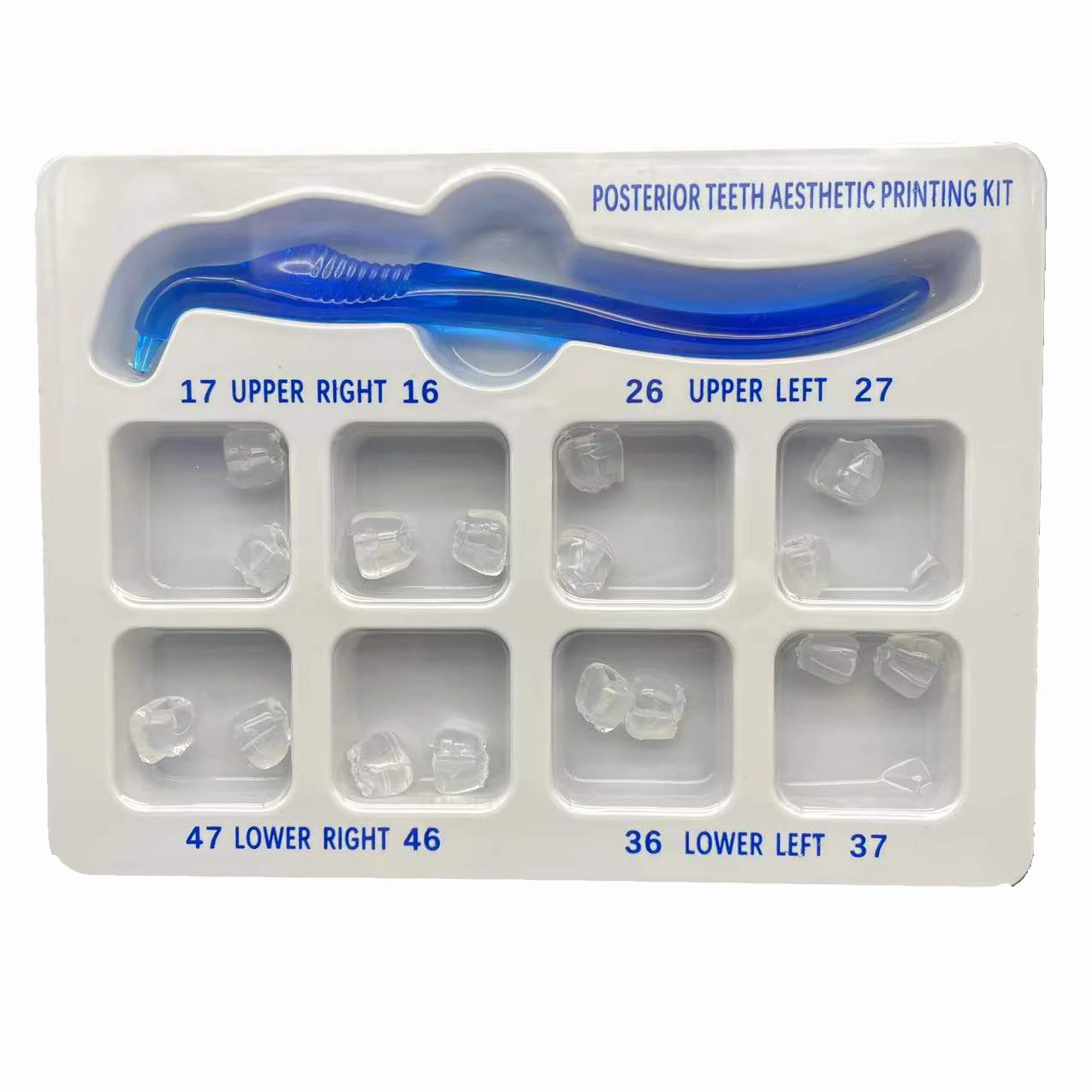 3D Printing Orthodontics - Kit Pencetakan 3D Gigi Belakang Ortodontik
