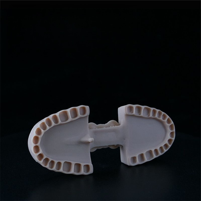 Resin Model Gigi LCD Photocuri - 3D Printing Orthodontics ulasan dan harga