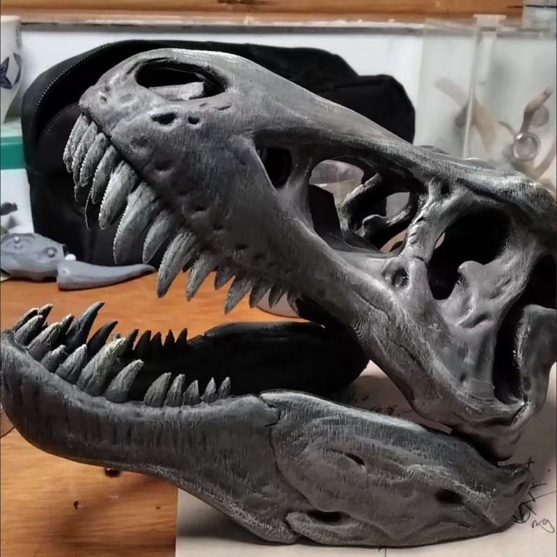 Model Tengkorak Tyrannosaurus  - 3D Printing Enthusiast ulasan dan harga