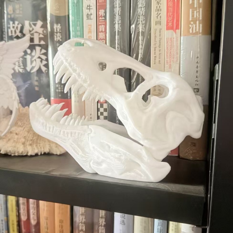 Model Tengkorak Tyrannosaurus  - 3D Printing Enthusiast ulasan dan harga
