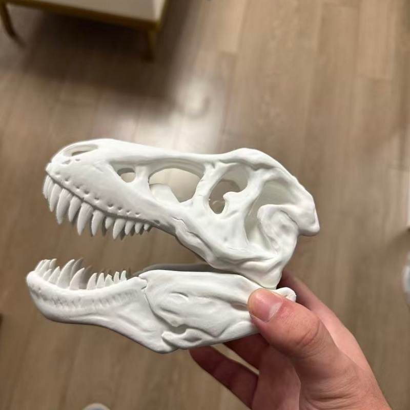 Model Tengkorak Tyrannosaurus  - 3D Printing Enthusiast ulasan dan harga