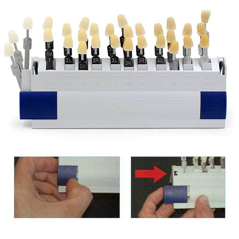 VITA 29 Warna Panduan Warna Gi - 3D Printing Orthodontics ulasan dan harga