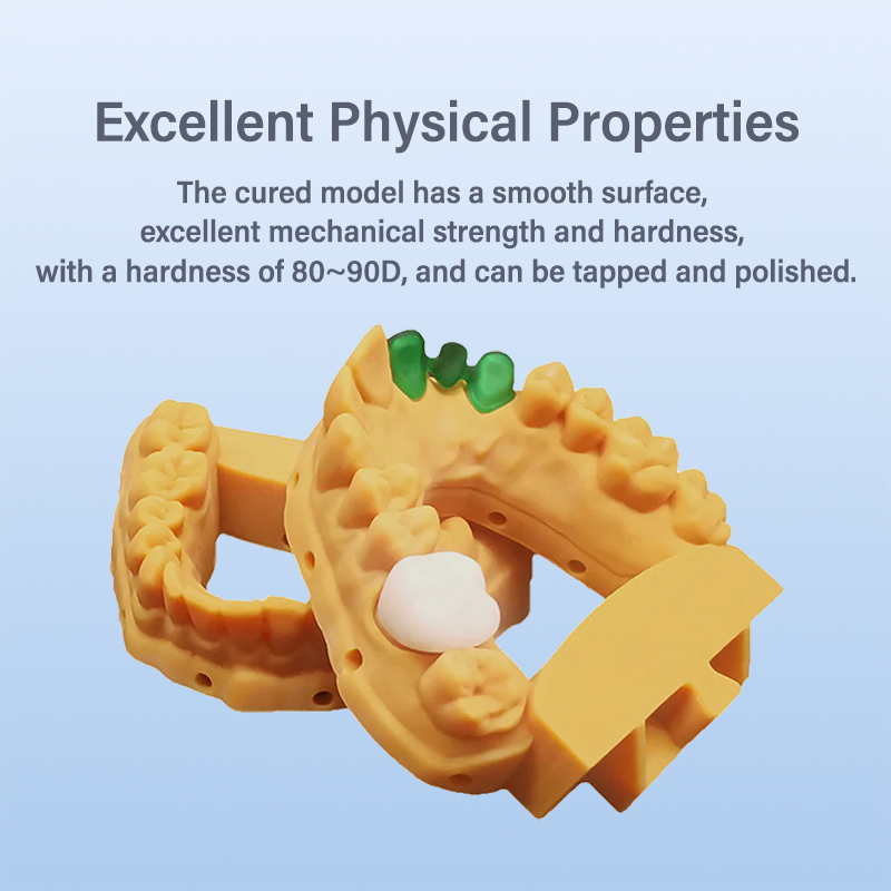 Antinsky resin model gigi seme - 3D Printing Orthodontics ulasan dan harga